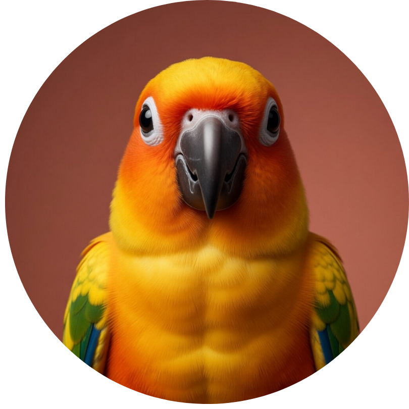Mango AIU Operative Hopeful Monster